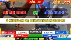 TRẬN 30 TONHON 10/10/2025