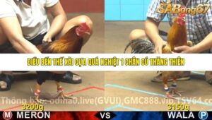 TRẬN 4 CPC4 28/10/2025