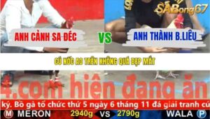 TRẬN 4 CPC5 28/10/2025