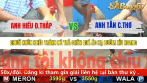 TRẬN 4 CPC5 30/10/2025