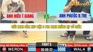 TRẬN 5 CPC6 29/10/2025