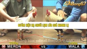 TRẬN 6 CPC4 31/10/2025