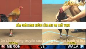 TRẬN 8 CPC4 28/10/2025