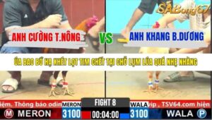 TRẬN 8 CPC6 29/10/2025