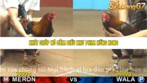 TRẬN 11 CPC4 6/11/2025