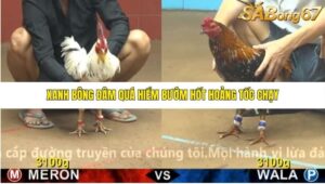 TRẬN 19 CPC4 6/11/2025