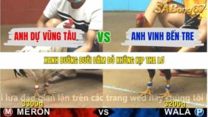 TRẬN 30 CPC4 6/11/2025