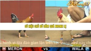 TRẬN 4 CPC4 6/11/2025