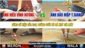 TRẬN 5 CPC4 6/11/2025