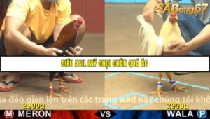 TRẬN 6 CPC4 6/11/2025