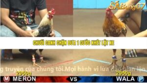 TRẬN 9 CPC4 6/11/2025