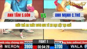 TRẬN 1 CPC6 4/11/2025