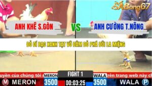 TRẬN 1 CPC6 5/11/2025