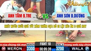 TRẬN 10 CPC6 4/11/2025