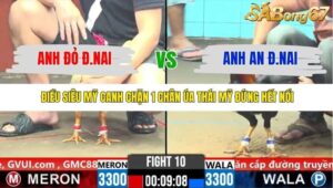 TRẬN 10 CPC6 5/11/2025