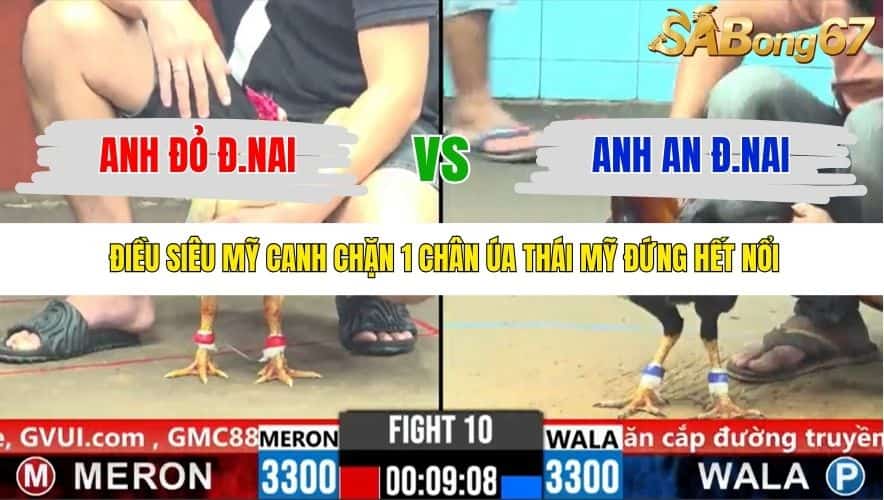 TRẬN 10 CPC6 5/11/2025