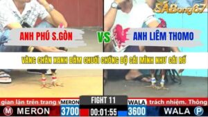 TRẬN 11 CPC6 1/11/2025