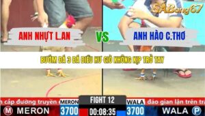 TRẬN 12 CPC6 4/11/2025