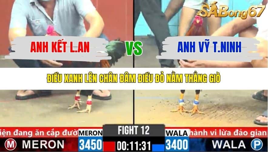 TRẬN 12 CPC6 5/11/2025