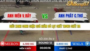 TRẬN 12 TONHON 2/11/2025