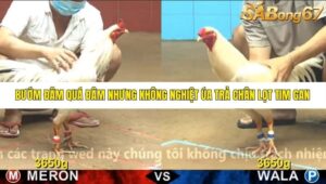 TRẬN 14 CPC4 NGÀY 1/11/2025