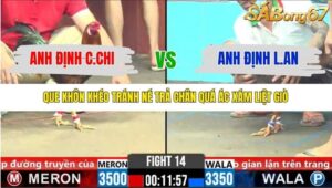 TRẬN 14 CPC6 4/11/2025