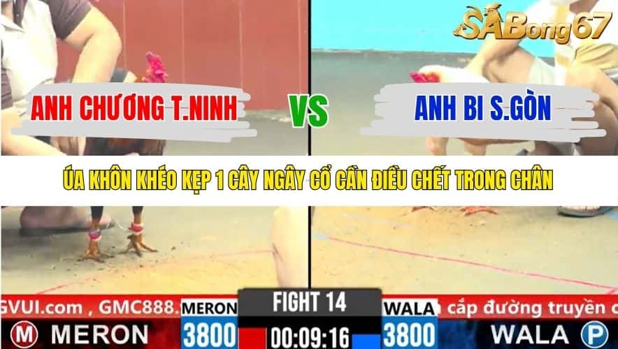 TRẬN 14 CPC6 5/11/2025