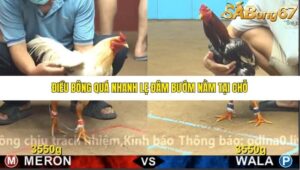 TRẬN 17 CPC4 NGÀY 1/11/2025