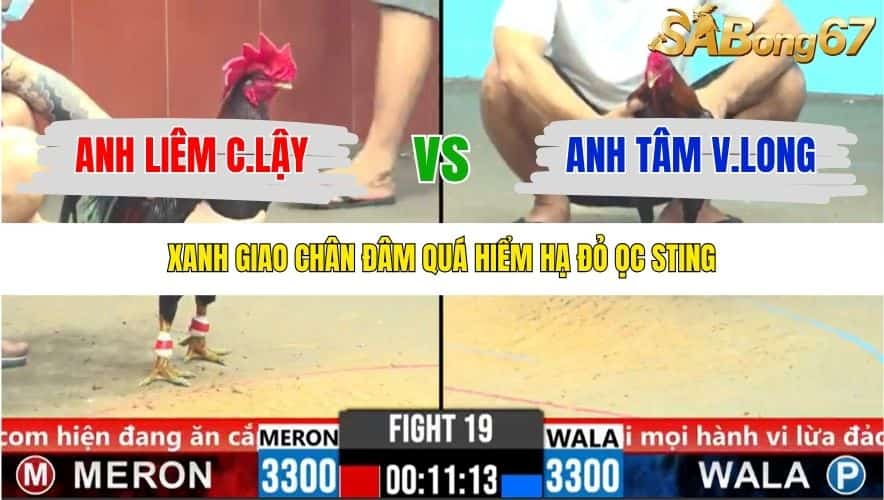 TRẬN 19 CPC6 5/11/2025