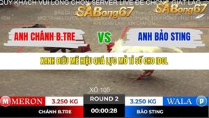 TRẬN 2 TONHON NGÀY 2/11/2025