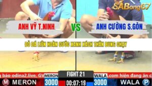 TRẬN 21 CPC6 NGÀY 1/11/2025