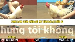 TRẬN 27 CPC4 NGÀY 1/11/2025