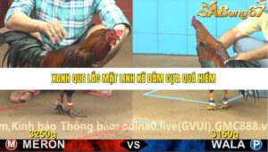 TRẬN 3 CPC4 NGÀY 3/11/2025