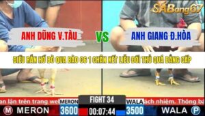 TRẬN 34 CPC6 NGÀY 1/11/2025