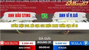 TRẬN 37 TONHON 2/11/2025