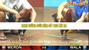 TRẬN 4 CPC4 NGÀY 1/11/2025