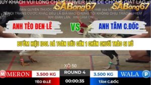 TRẬN 4 TONHON 2/11/2025