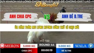 TRẬN 44 TONHON 2/11/2025