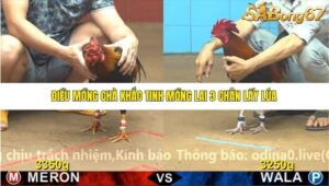 TRẬN 5 CPC4 NGÀY 3/11/2025