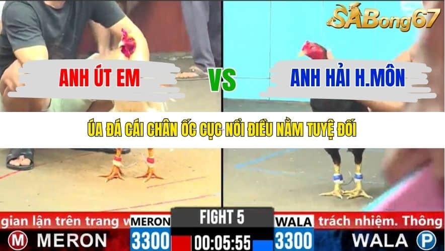 TRẬN 5 CPC6 5/11/2025