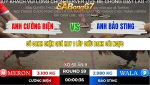 TRẬN 59 TONHON 2/11/2025