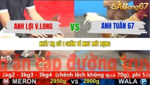 TRẬN 6 CPC5 1/11/2025