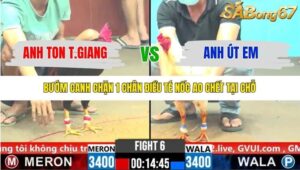 TRẬN 6 CPC6 3/11/2025