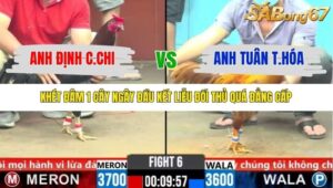 TRẬN 6 CPC6 4/11/2025