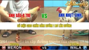 TRẬN 8 CPC4 NGÀY 1/11/2025