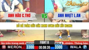 TRẬN 8 CPC6 4/11/2025