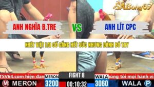 TRẬN 8 CPC6 5/11/2025